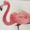 Amelia - Flamingo