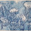 Claudia - Jellyfish etching