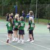 U8 Netball