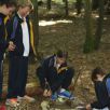 Team Building at Farleigh